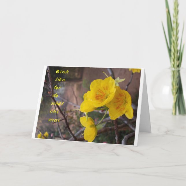 Cartes Pour Fêtes Annuelles Tet Vietnam de chuc de Thiep (Devant)