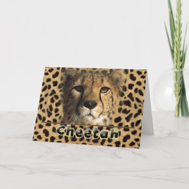 CARTES POUR FÊTES ANNUELLES TÊTE CHEETAH (Devant)