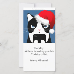 Cartes Pour Fêtes Annuelles Textes de la photo de Noël Mittens
