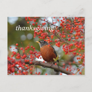 Cartes Pour Fêtes Annuelles thanksgiving