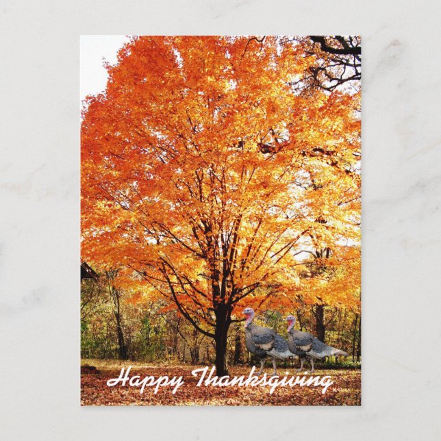 Cartes Pour Fêtes Annuelles Thanksgiving Autumn Tree avec la Turquie sauvage (Devant)