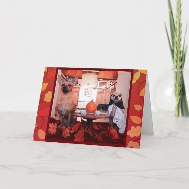 Cartes Pour Fêtes Annuelles Thanksgiving de chien (Devant)