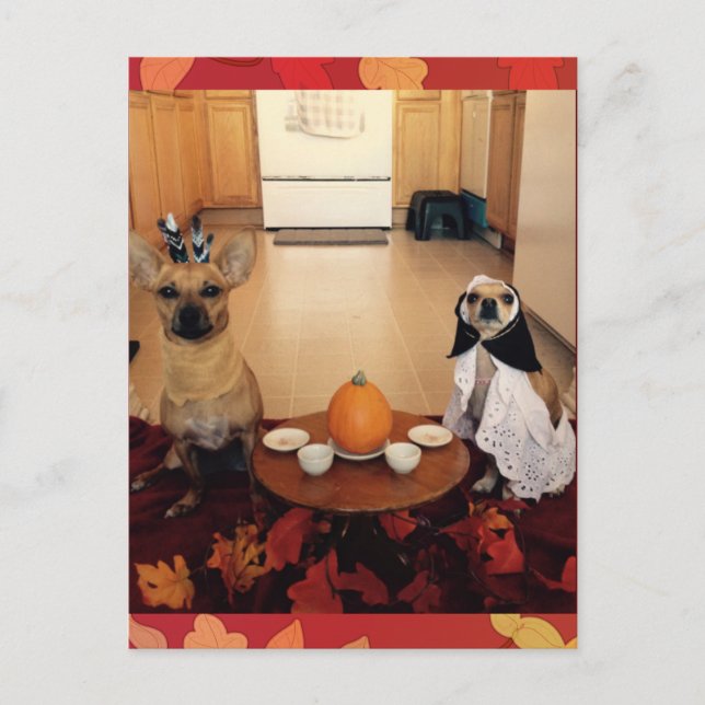 Cartes Pour Fêtes Annuelles Thanksgiving de chien (Devant)