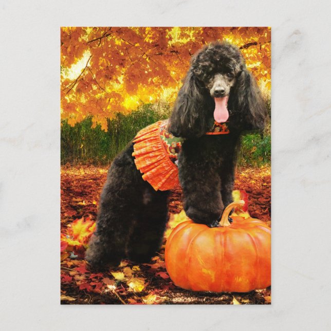 Cartes Pour Fêtes Annuelles Thanksgiving de chute - Gidget - caniche (Devant)