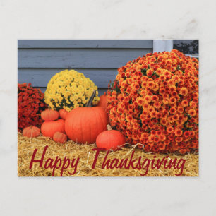 Cartes Pour Fêtes Annuelles Thanksgiving Post Card (with text)