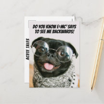 Théorie animale de chien de Pug chinois drôle 