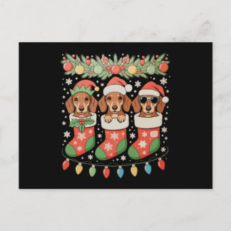 Cartes Pour Fêtes Annuelles Three Santa Elf Dachshunds Christmas Socks Funny