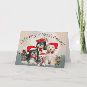 Cartes Pour Fêtes Annuelles Tibétain Terrier Père Noël aide à la 
