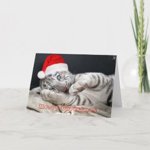 Cartes Pour Fêtes Annuelles tigre de Bengale blanc de bébé avec le casquette