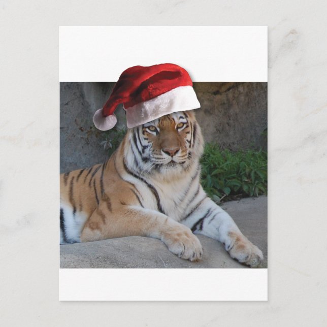 Cartes Pour Fêtes Annuelles Tigre du Bengale de Santa Hat (Devant)