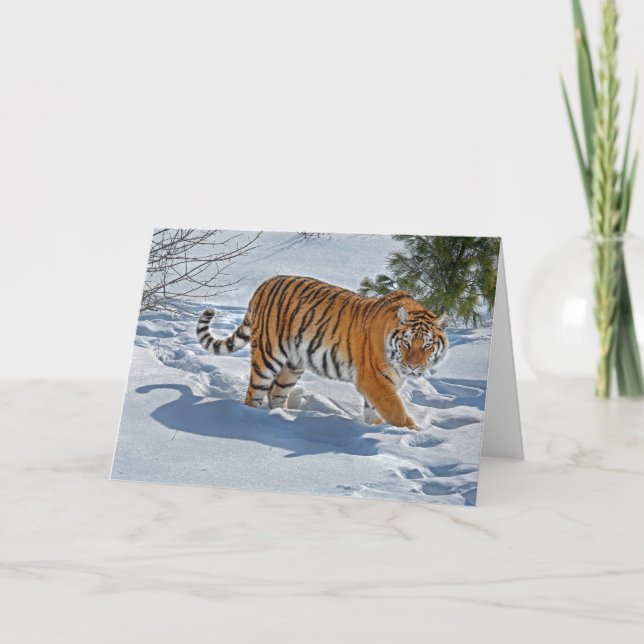 Cartes Pour Fêtes Annuelles Tigre En Vacances De Neige Profonde (Devant)
