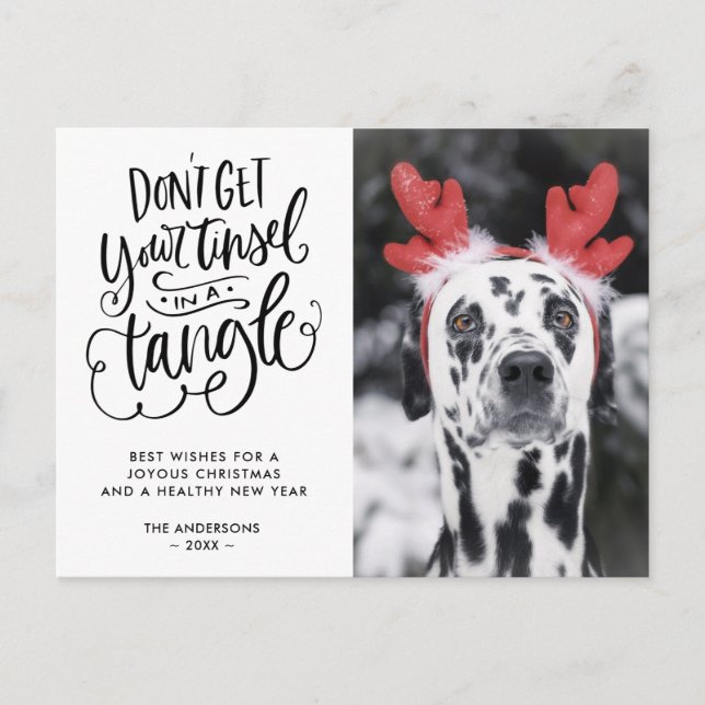 Cartes Pour Fêtes Annuelles Tinsel dans un Tangle Funny Chien Photo Noël (Devant)