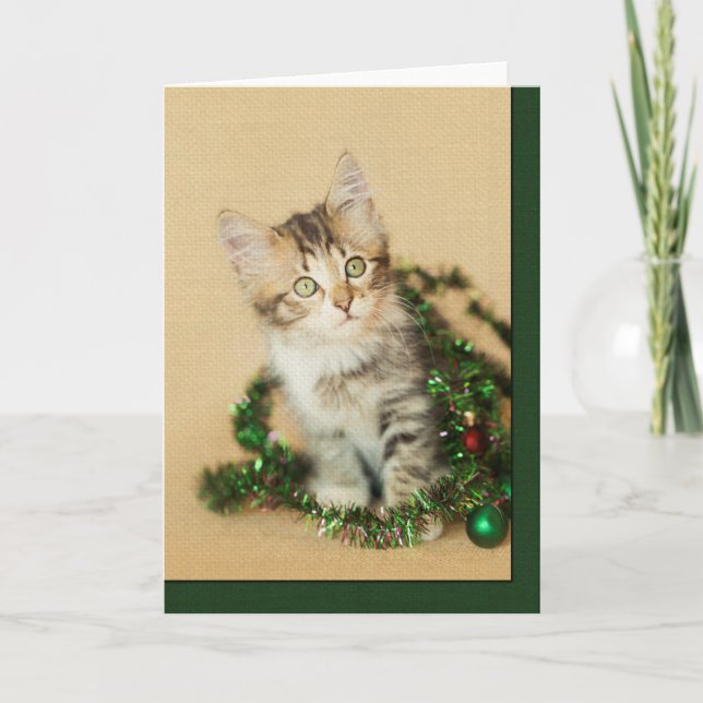 Cartes Pour Fêtes Annuelles Tinsel Kitten (Devant)