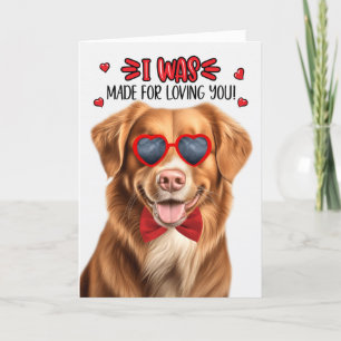 Cartes Pour Fêtes Annuelles Toller Retriever Chien fait pour vous aimer Valent