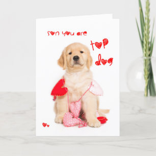 Cartes Pour Fêtes Annuelles Top Chien Son Golden Retriever Chien Chien Valenti