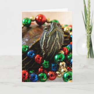 Cartes Pour Fêtes Annuelles Tortue de Noël