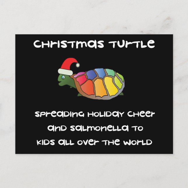 Cartes Pour Fêtes Annuelles Tortue de Noël (Devant)