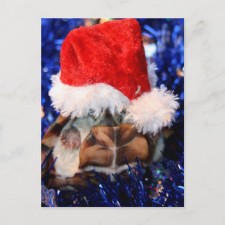 Cartes Pour Fêtes Annuelles Tortue musquée à dos de rasoir, Santa Hat au-dessu