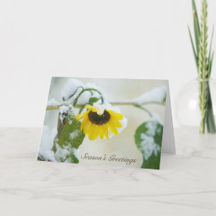 Cartes Pour Fêtes Annuelles Tournesol d'hiver