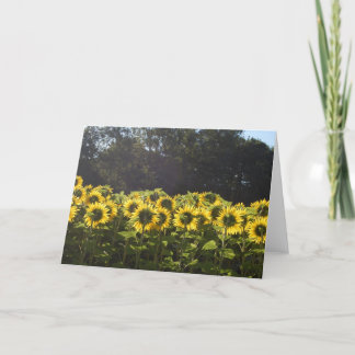 Cartes Pour Fêtes Annuelles Tournesols en France