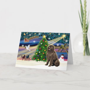 Cartes Pour Fêtes Annuelles Tournoi magique de Noël-Newfie