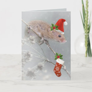 Cartes Pour Fêtes Annuelles Tous ensemble pour Père Noël Christmas Card