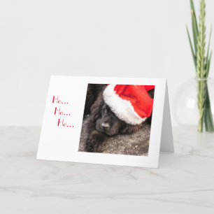 Cartes Pour Fêtes Annuelles Tous habillés pour Noël