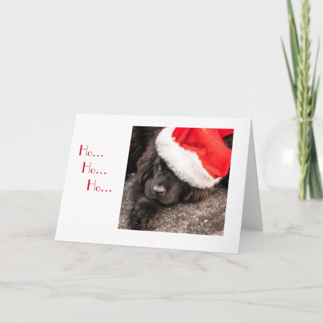 Cartes Pour Fêtes Annuelles Tous habillés pour Noël (Devant)