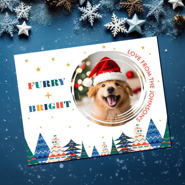 Cartes Pour Fêtes Annuelles Tout Fou et Lumineux Photo de Chien Mignon (Furry & Bright Dog Lover Photo Christmas Card)