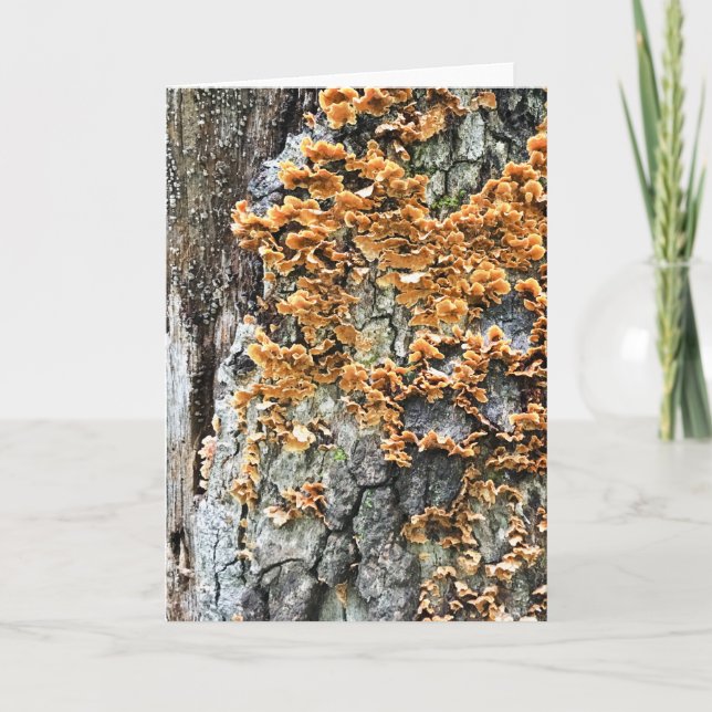 Cartes Pour Fêtes Annuelles tree fungi (Devant)