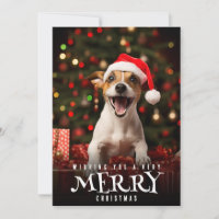 Très Joyeux Noël Jack Russel Terrier Chien