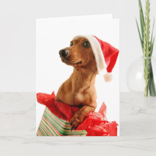 Cartes Pour Fêtes Annuelles Très Noël de Doxie (Devant)