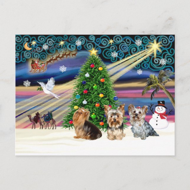 Cartes Pour Fêtes Annuelles Trio magique de Yorkie (Devant)
