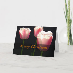 Cartes Pour Fêtes Annuelles Trois fleurs de tulipe roses. Noël, fêtes.