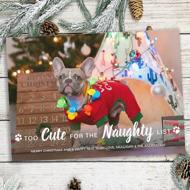 Cartes Pour Fêtes Annuelles Trop mignon pour la liste coquine Funny chien anim (Créateur téléchargé)