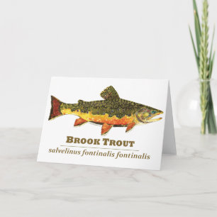Cartes Pour Fêtes Annuelles Truite de Brook, latin