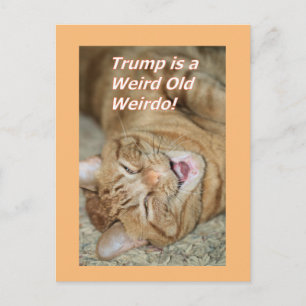 Cartes Pour Fêtes Annuelles Trump bizarre