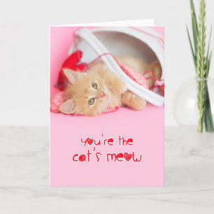 Cartes Pour Fêtes Annuelles Tu es le chats chou chaton valentine