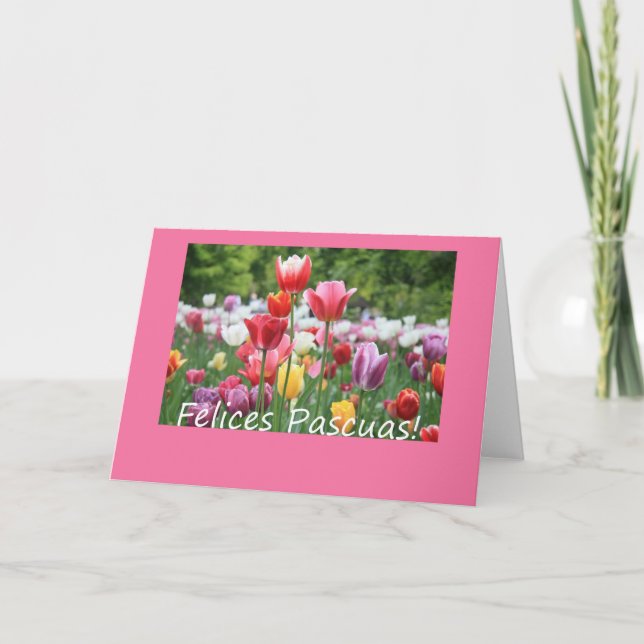 Cartes Pour Fêtes Annuelles Tulipe de Pâques espagnole (Devant)