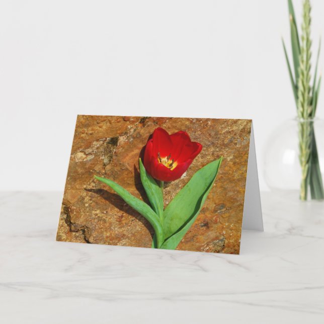Cartes Pour Fêtes Annuelles Tulipe jaune et rouge (Devant)