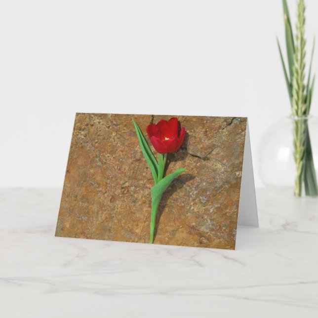 Cartes Pour Fêtes Annuelles Tulipe jaune et rouge (Devant)