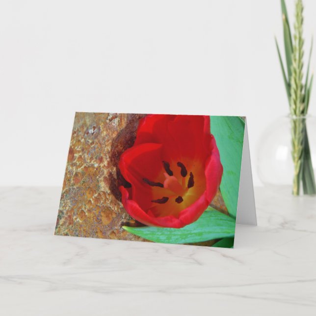Cartes Pour Fêtes Annuelles Tulipe jaune printemps et rouge (Devant)