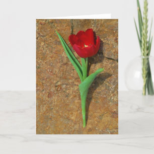 Cartes Pour Fêtes Annuelles Tulipe rouge et jaune