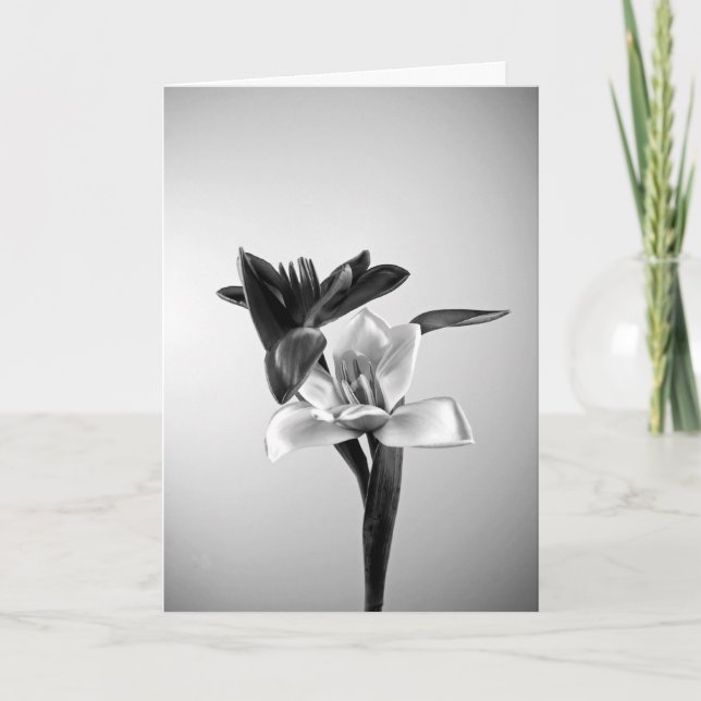Cartes Pour Fêtes Annuelles Tulipes de inspiration (Devant)
