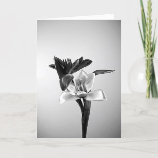Cartes Pour Fêtes Annuelles Tulipes de inspiration