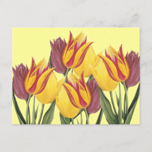 Cartes Pour Fêtes Annuelles Tulipes de Pâques