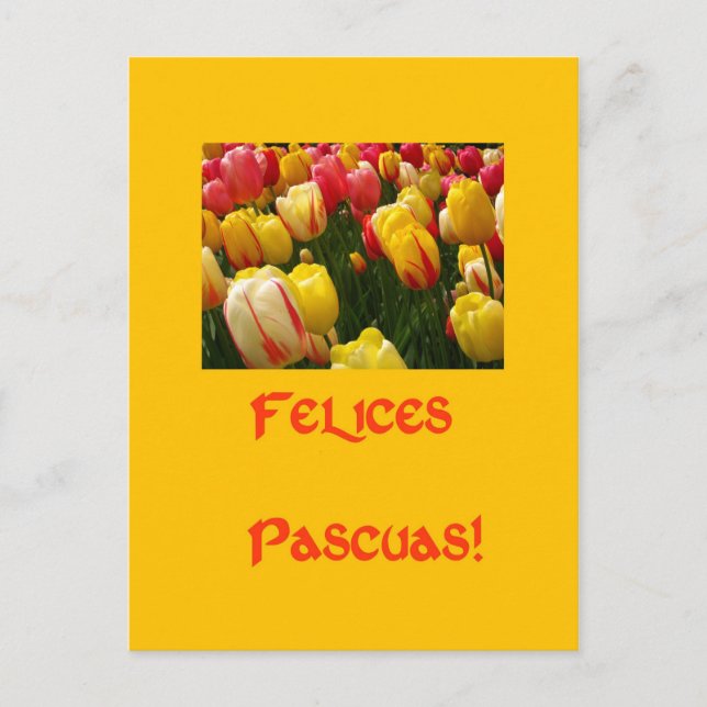 Cartes Pour Fêtes Annuelles tulipes mixtes salut de pâques jaunes en espagnol (Devant)