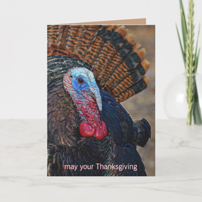 Cartes Pour Fêtes Annuelles Turquie sauvage colorée Thanksgiving mignon Unique (Devant)