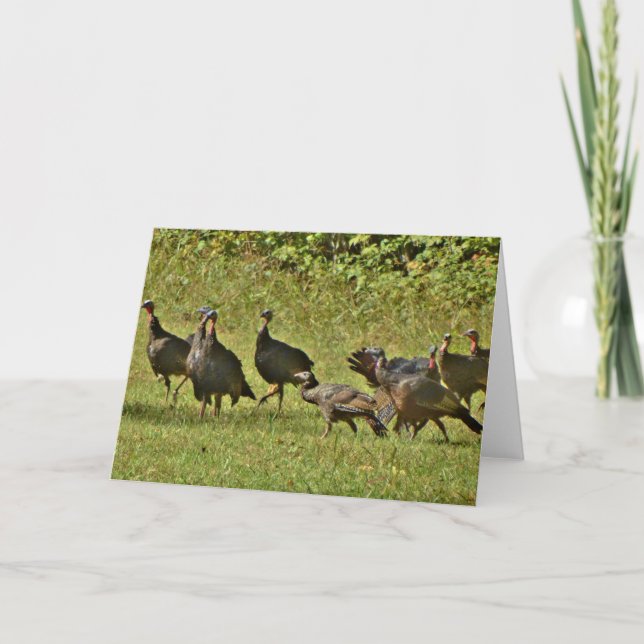 Cartes Pour Fêtes Annuelles Turquie sauvage, couleurs du Camouflage (Devant)