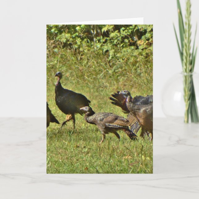 Cartes Pour Fêtes Annuelles Turquie sauvage, couleurs du Camouflage (Devant)